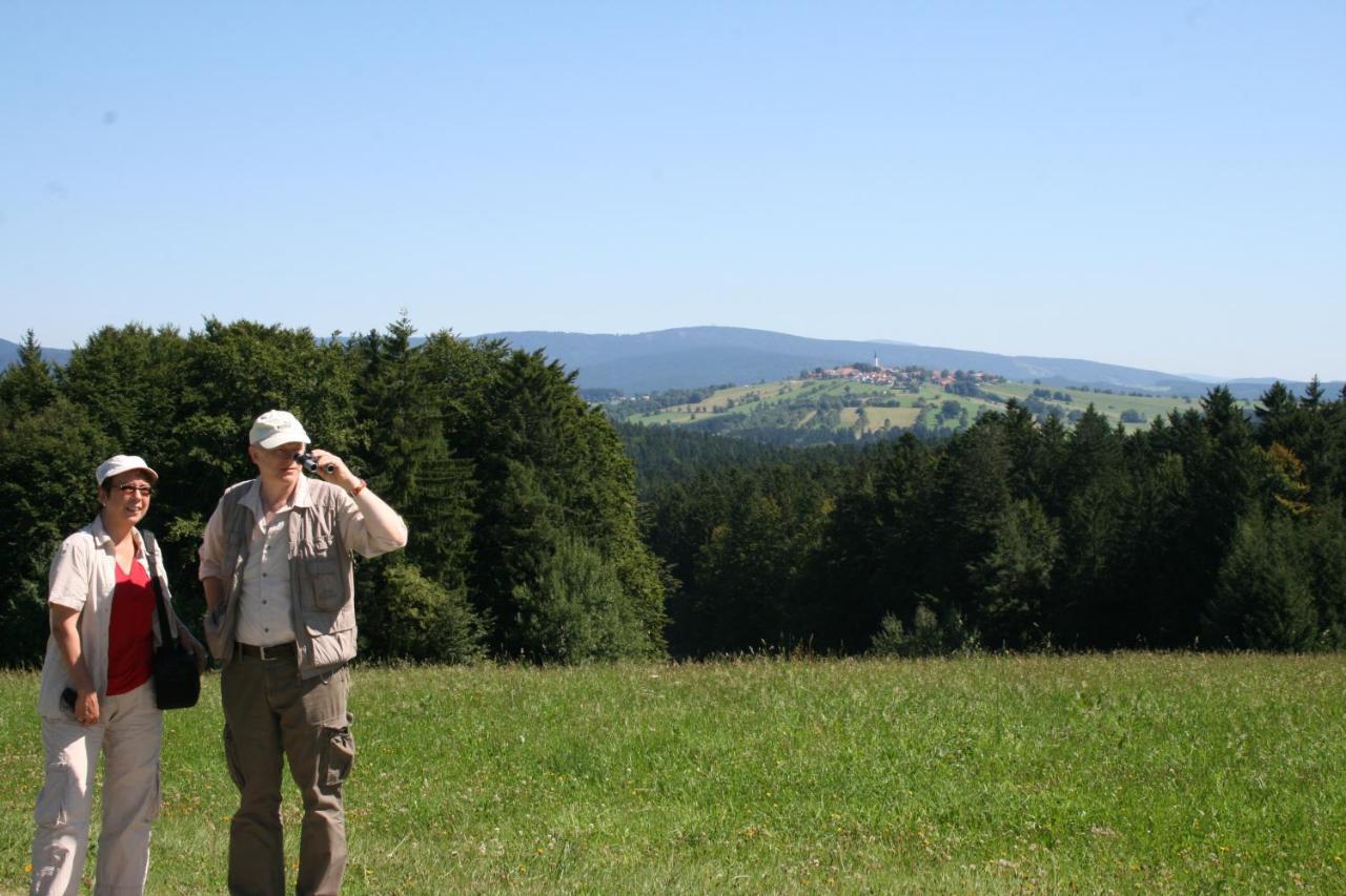 Hotel Landgasthof Hohenauer Hof Luaran gambar